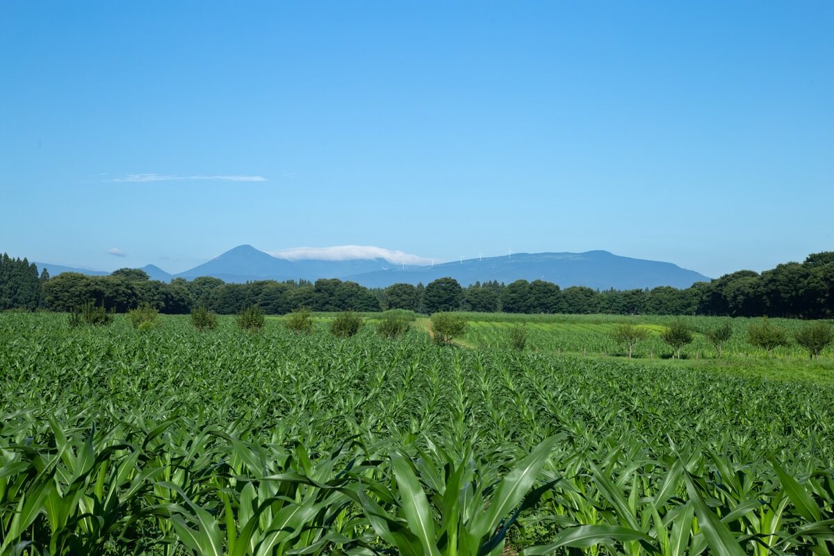 東北牧場の風景