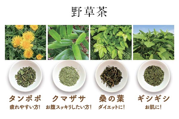 野草茶の種類