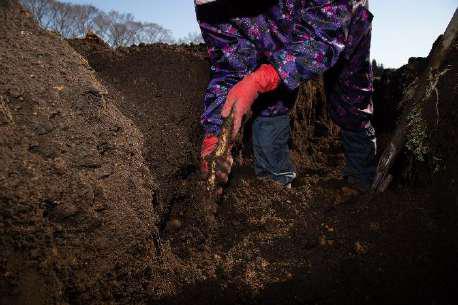 堆肥を混ぜ込んだ畑の土壌2