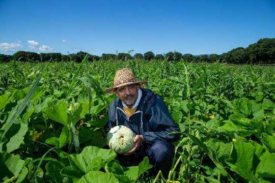 牧場での従業員研修風景4