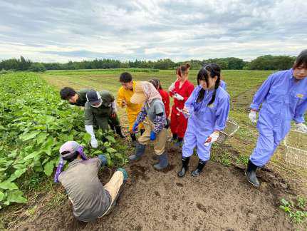 2回目の実地研究の様子