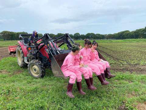 2回目の実地研究の様子