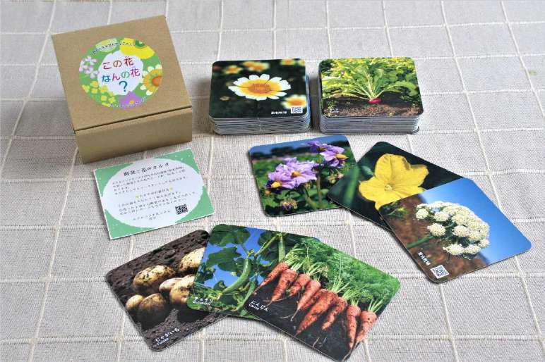 野菜と花のカルタ