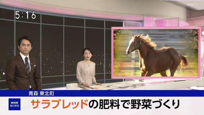 NHKニュースの放送画面キャプチャ2