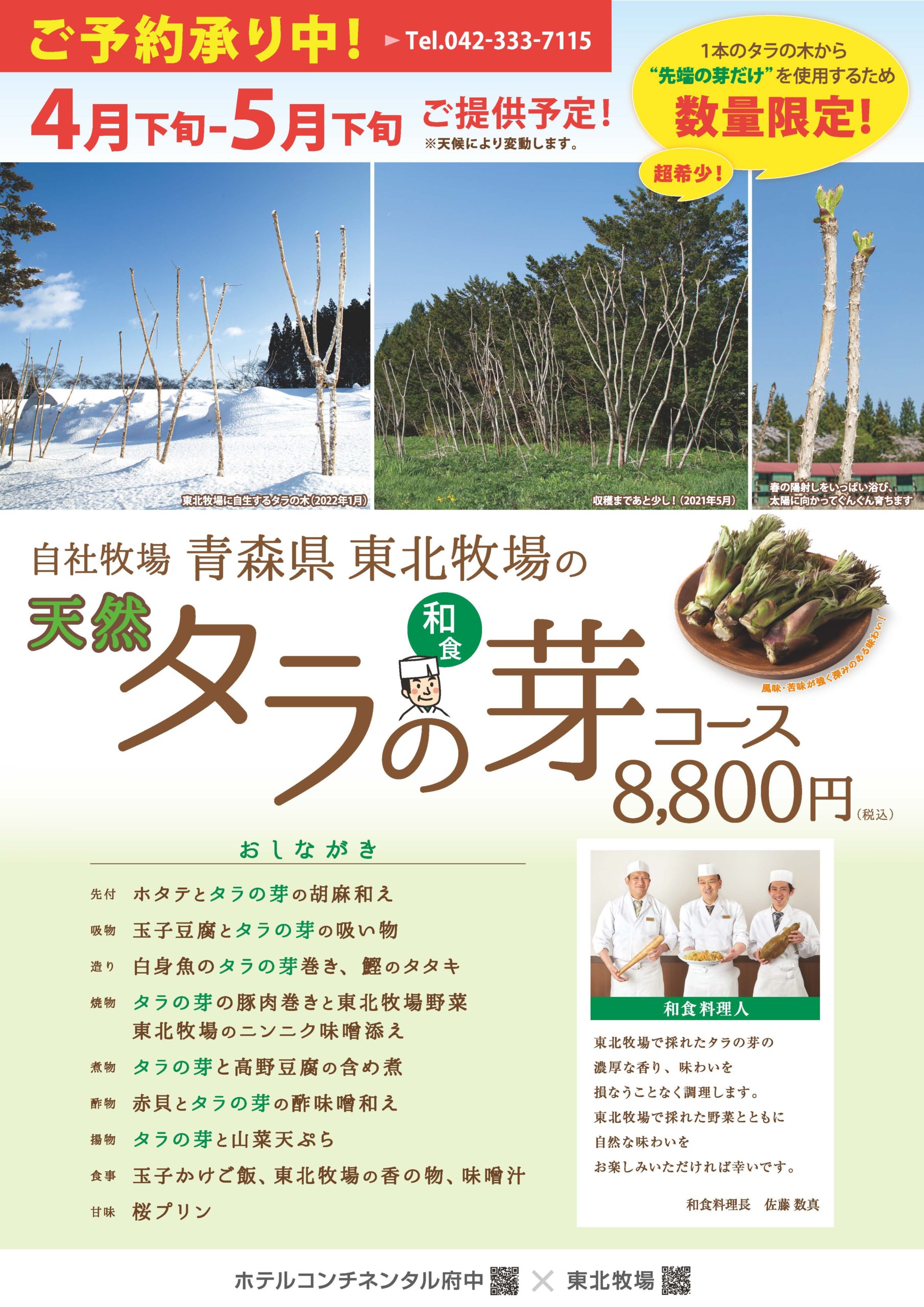 東北牧場で採れる『天然のタラの芽 コース』のご提供を開始します。【4月26日（火）～5月下旬】