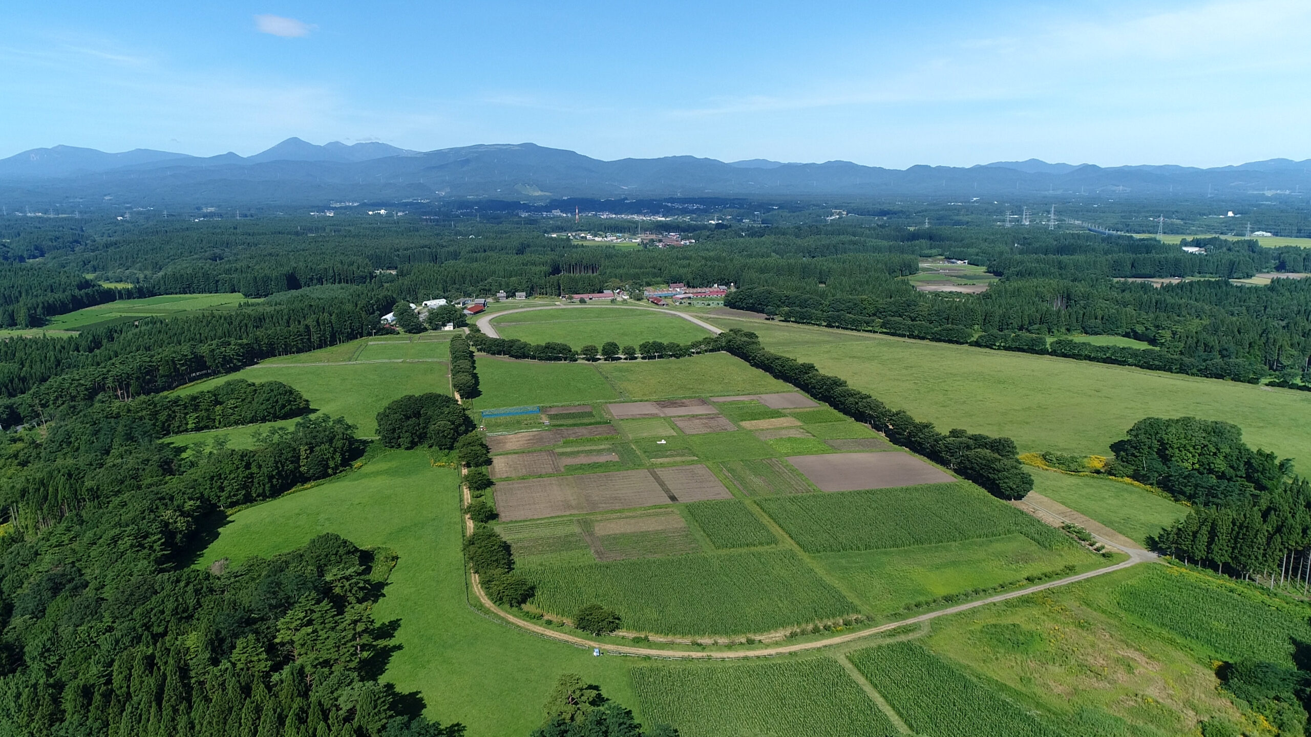 直営農場「東北牧場」のブランド卵でつくる出来立て実演ワゴンメニュー