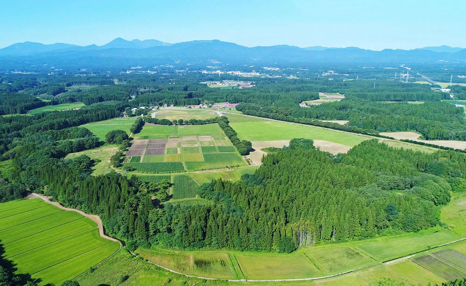 東北牧場