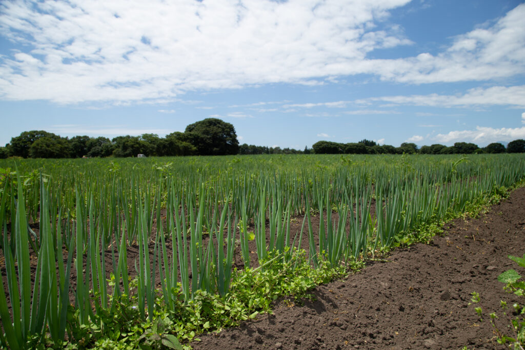 直営農場の食を楽しむホテル