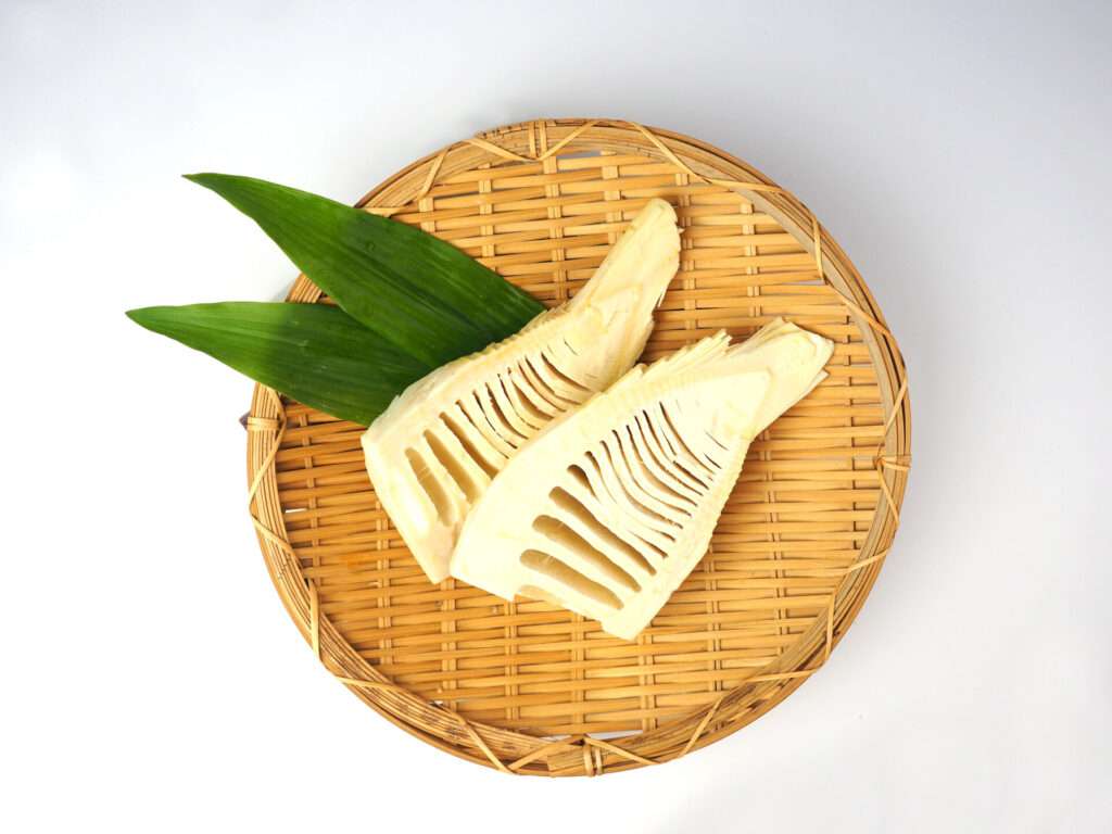 採れたて新春筍（たけのこ）