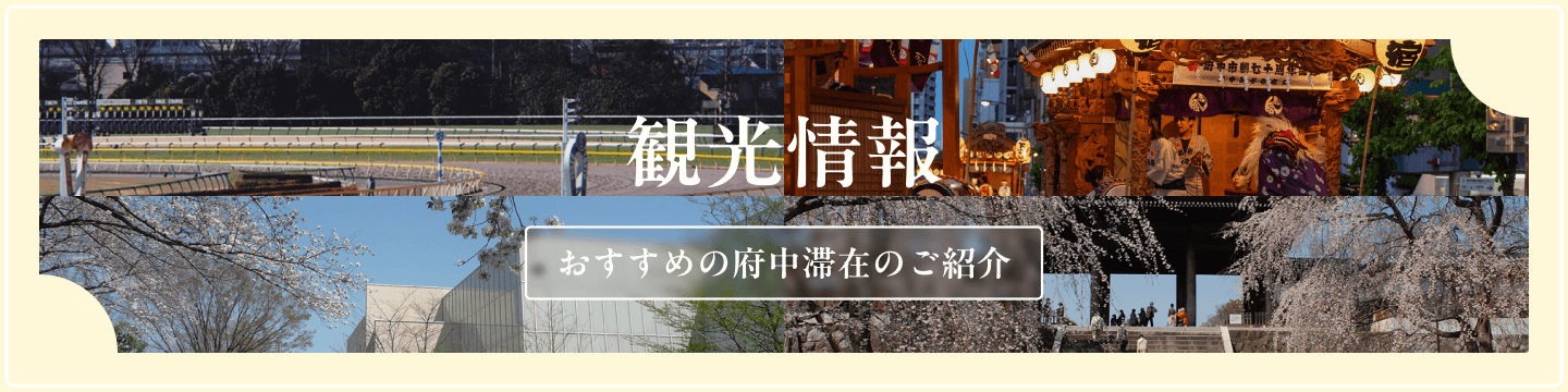 観光情報バナー
