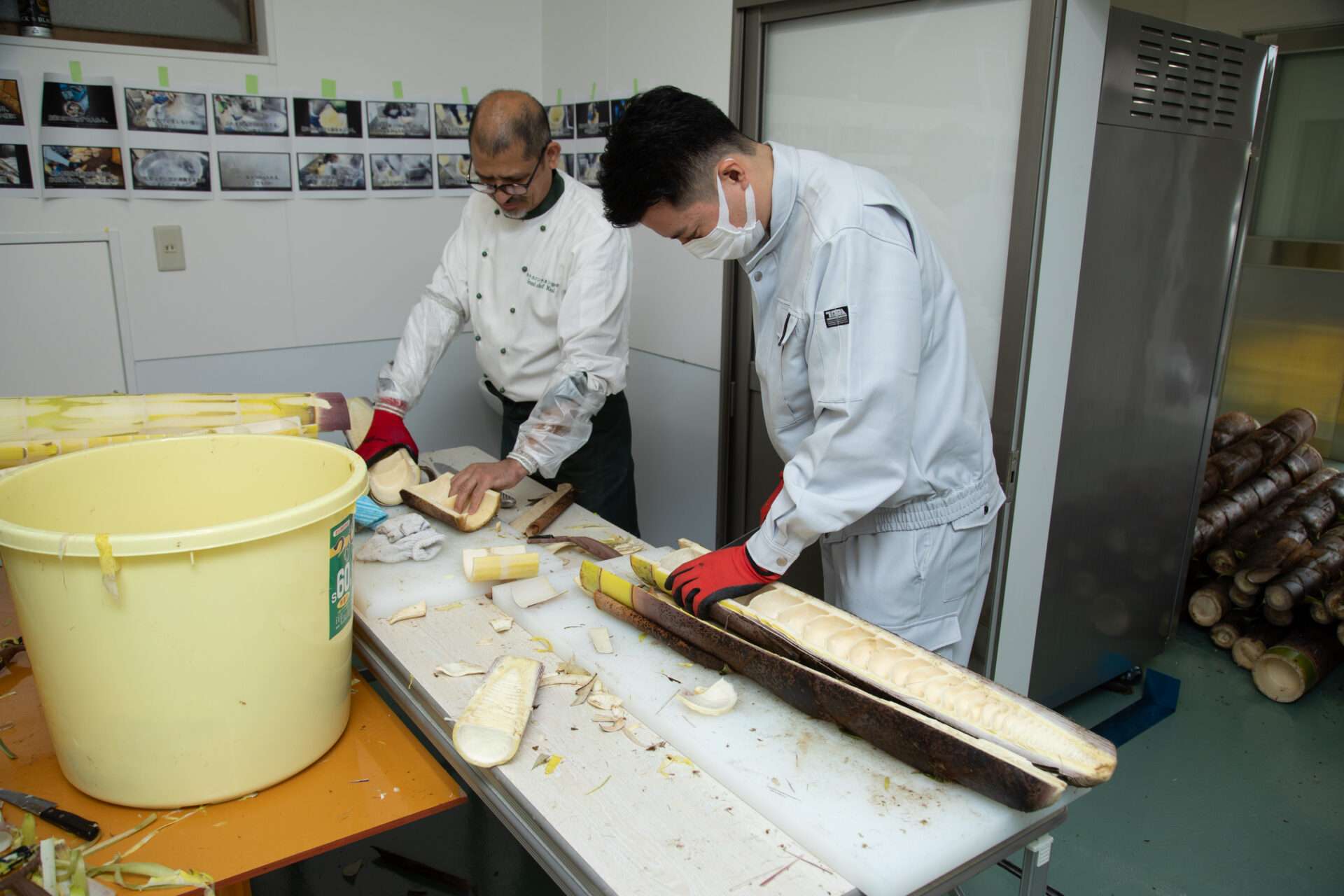 私たちが1から作る「東京メンマ」