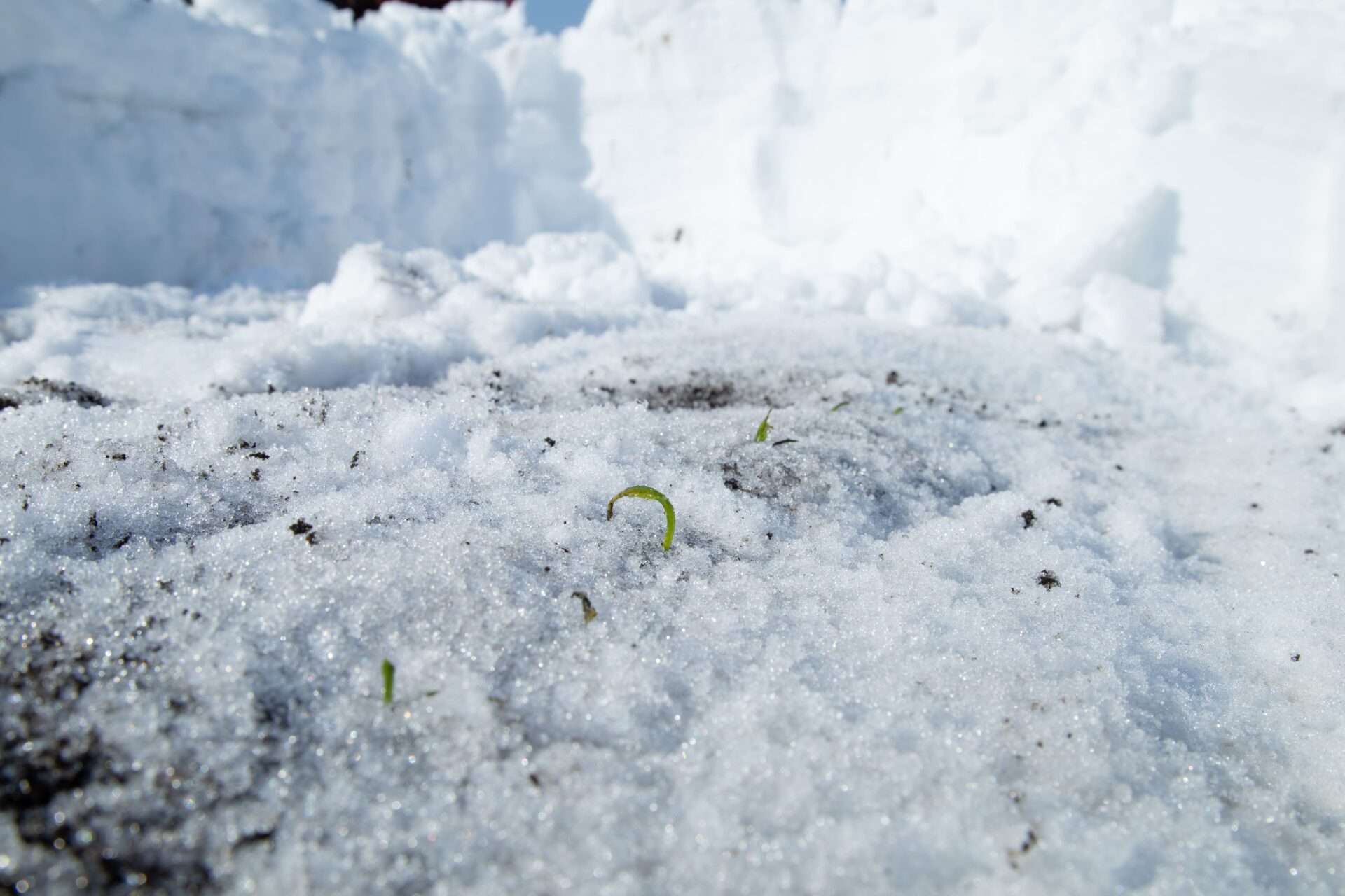 「牧場たまねぎをふんだんに使用した オニオングラタンスープ」が「JARC LIVE 27」で紹介されました