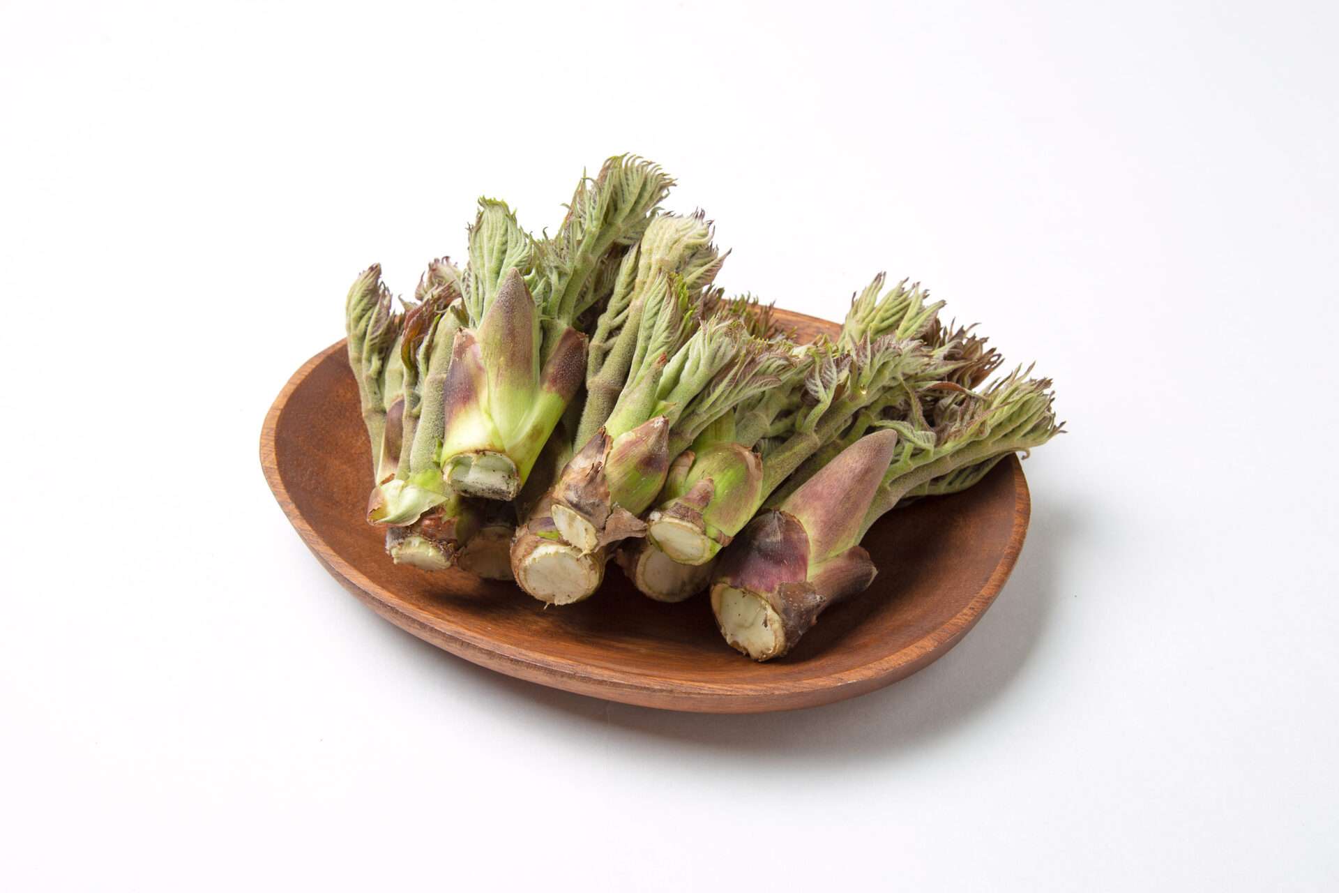 東北牧場の天然のタラの芽