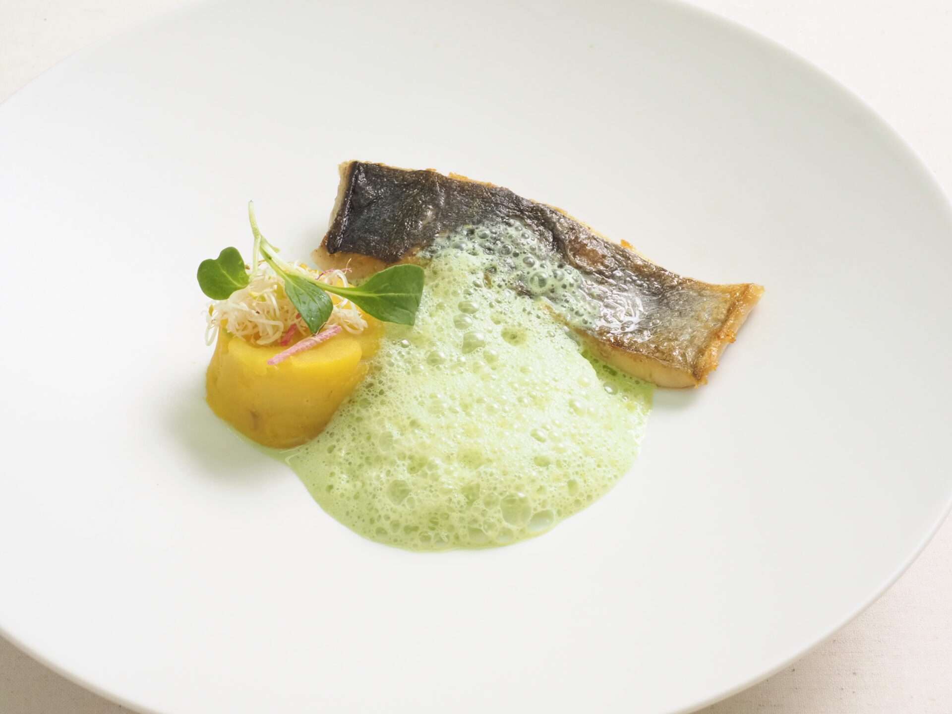 【レストランコルト】春のコース