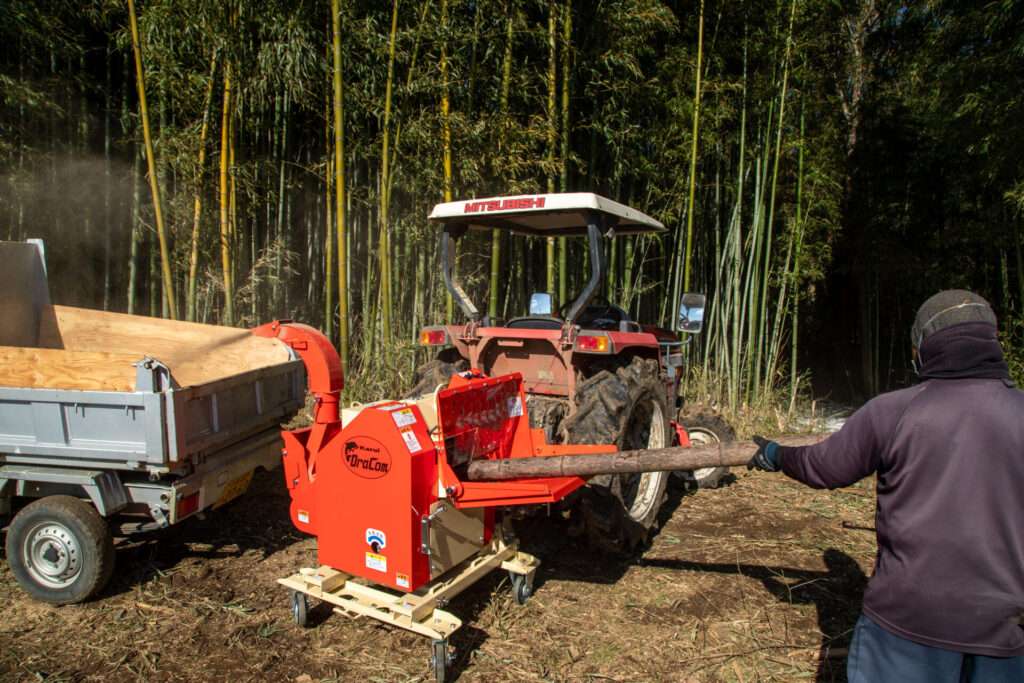 メンマづくりのための竹林整備