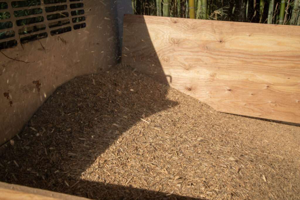 メンマづくりのための竹林整備