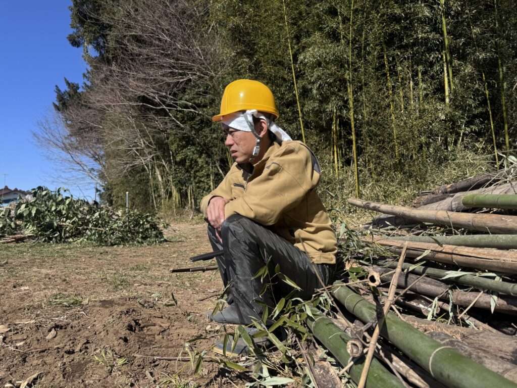 メンマづくりのための竹林整備